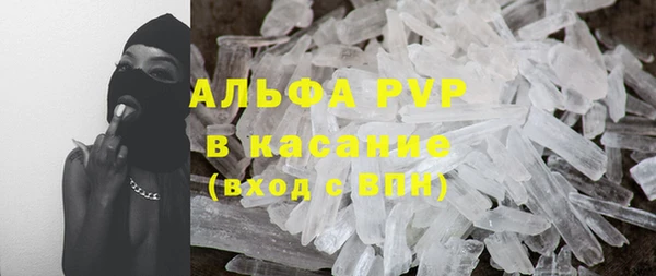 ECSTASY Майский