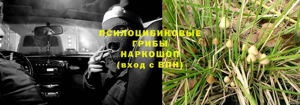 трава Медногорск