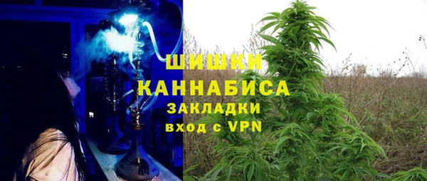 прущие крисы Мегион