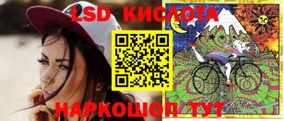 скорость Аргун