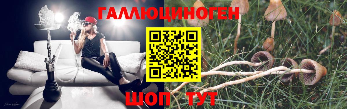 купить наркотики цена  Архангельск  Псилоцибиновые грибы прущие грибы  Галлюциногенные грибы мицелий 