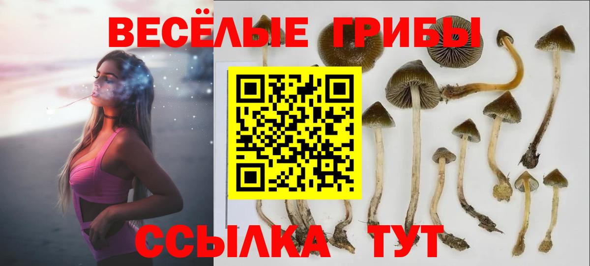 Архангельск  Галлюциногенные грибы Cubensis  Вход с VPN 